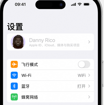 依安appleID维修服务iPhone设置中Apple ID显示为灰色无法使用 