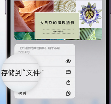 依安apple维修中心分享iPhone文件应用中存储和找到下载文件