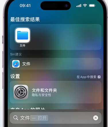 依安apple维修中心分享iPhone文件应用中存储和找到下载文件