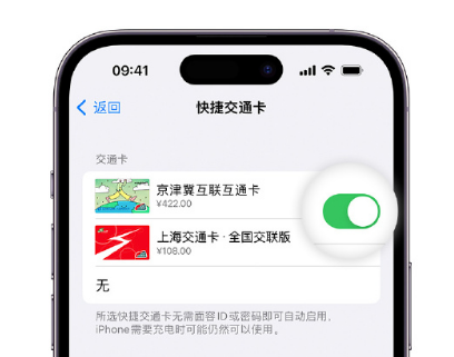 依安apple维修点分享iPhone上更换Apple Pay快捷交通卡手绘卡面 