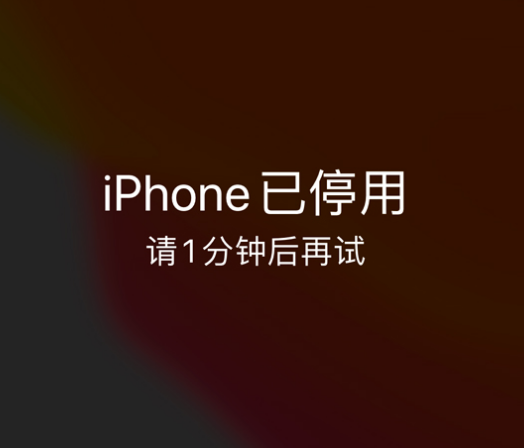 依安苹果手机维修分享:iPhone 显示“不可用”或“已停用”怎么办？还能保留数据吗？ 