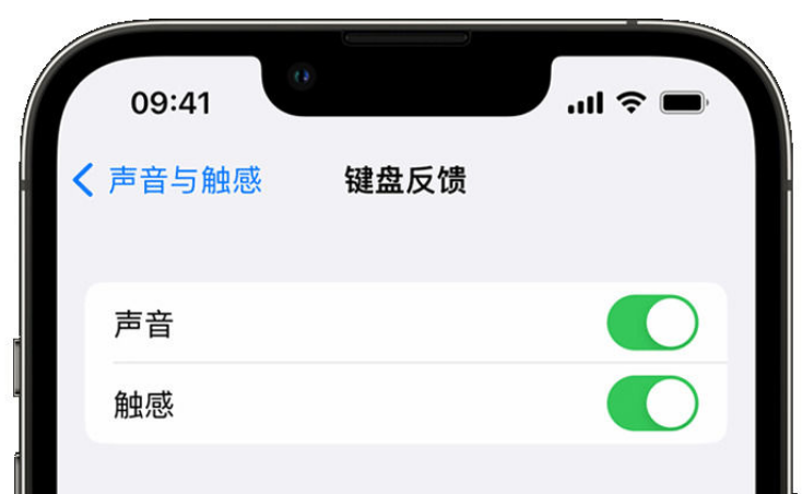 依安苹果手机维修分享iPhone 14触感键盘使用方法 