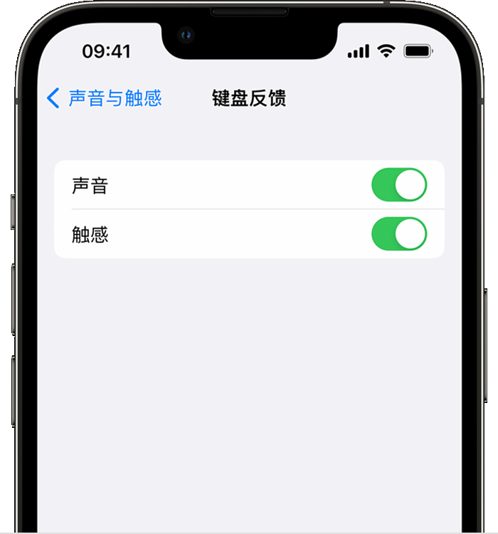 依安苹果14维修店分享如何在 iPhone 14 机型中使用触感键盘 