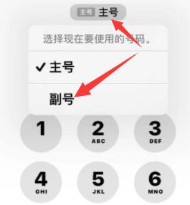 依安苹果14维修店分享iPhone 14 Pro Max使用副卡打电话的方法 