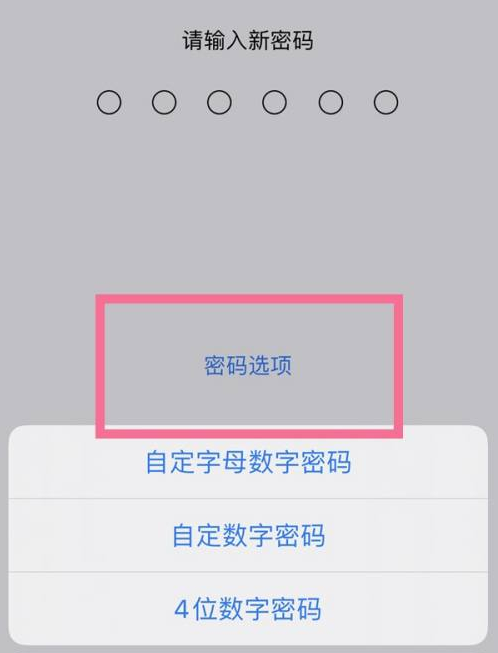 依安苹果14维修分享iPhone 14plus设置密码的方法 