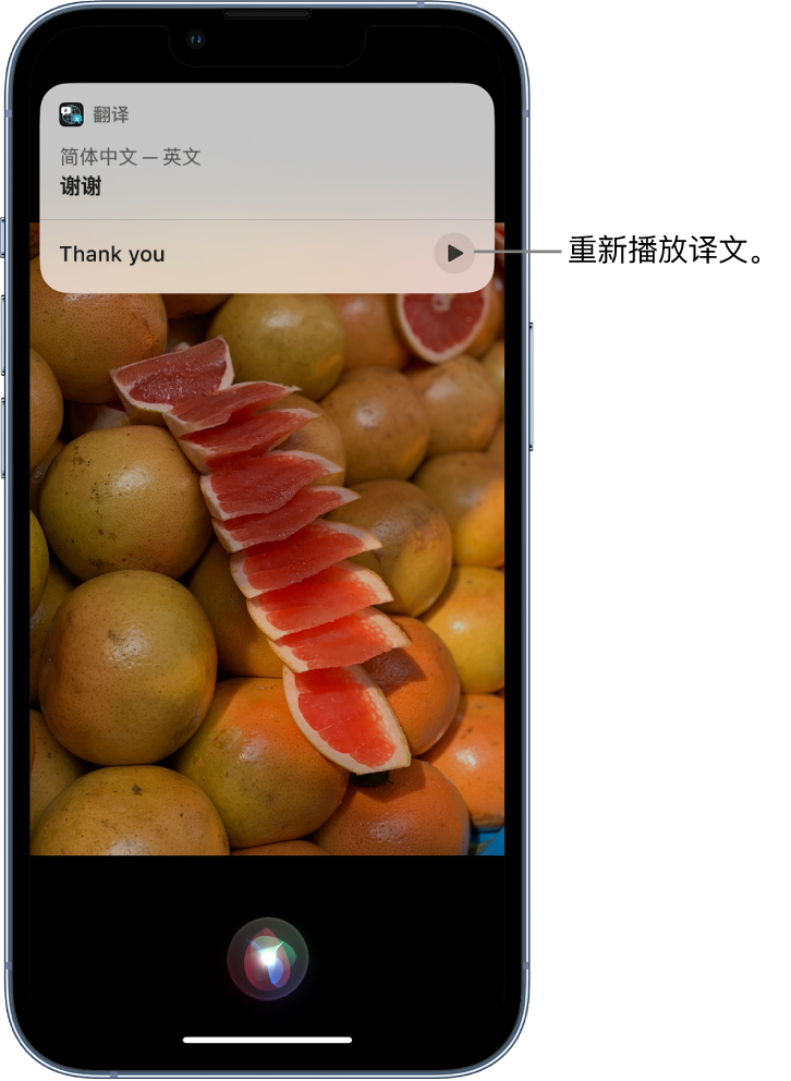 依安苹果14维修分享 iPhone 14 机型中使用 Siri：了解 Siri 能帮你做什么 