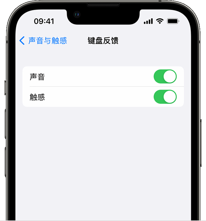 依安苹果14维修分享iPhone 14 系列机型如何开启键盘声音或触感反馈 
