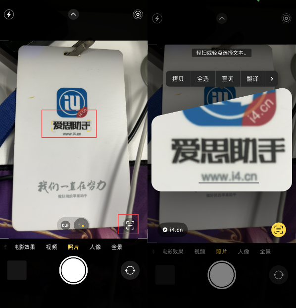依安苹果手机维修分享升级iOS 16后如何通过相机翻译文本 
