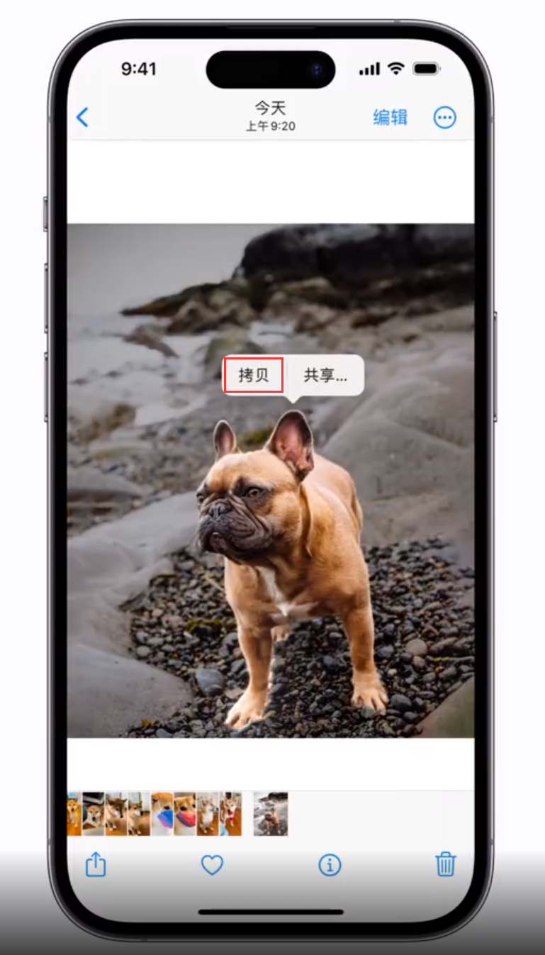 依安苹果手机维修分享 iOS 16 自带一键抠图功能 