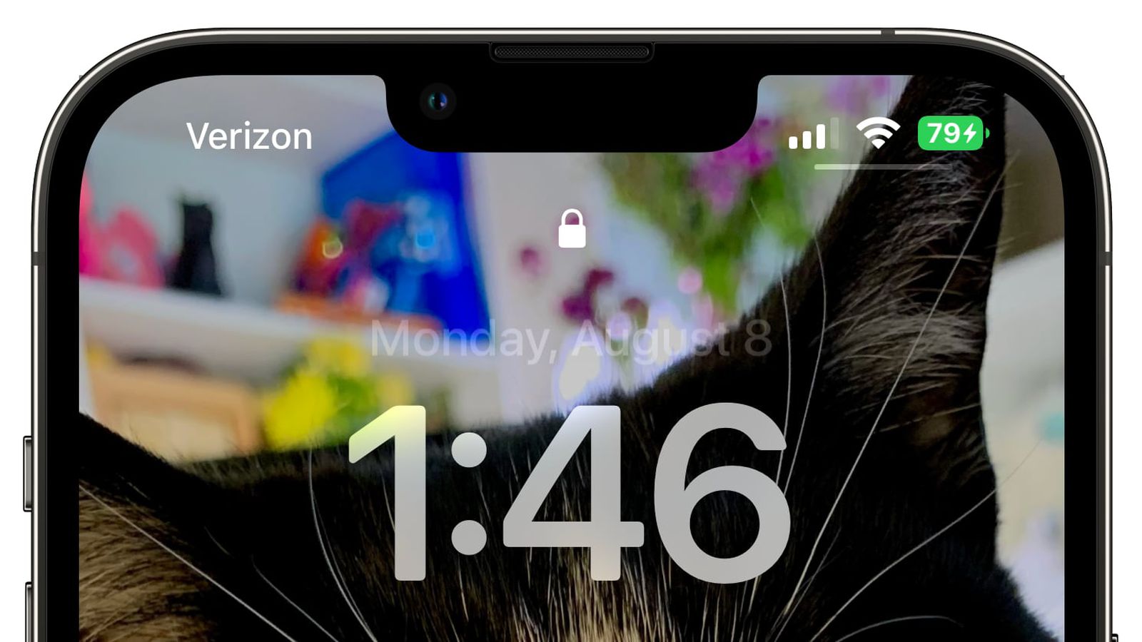 依安苹果手机维修分享iOS 16 beta 5 支持状态栏显示电池百分比，如何开启？支持哪些机型 