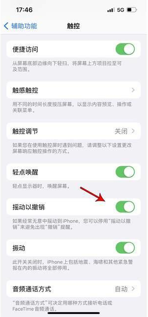 依安苹果手机维修分享iPhone手机如何设置摇一摇删除文字 