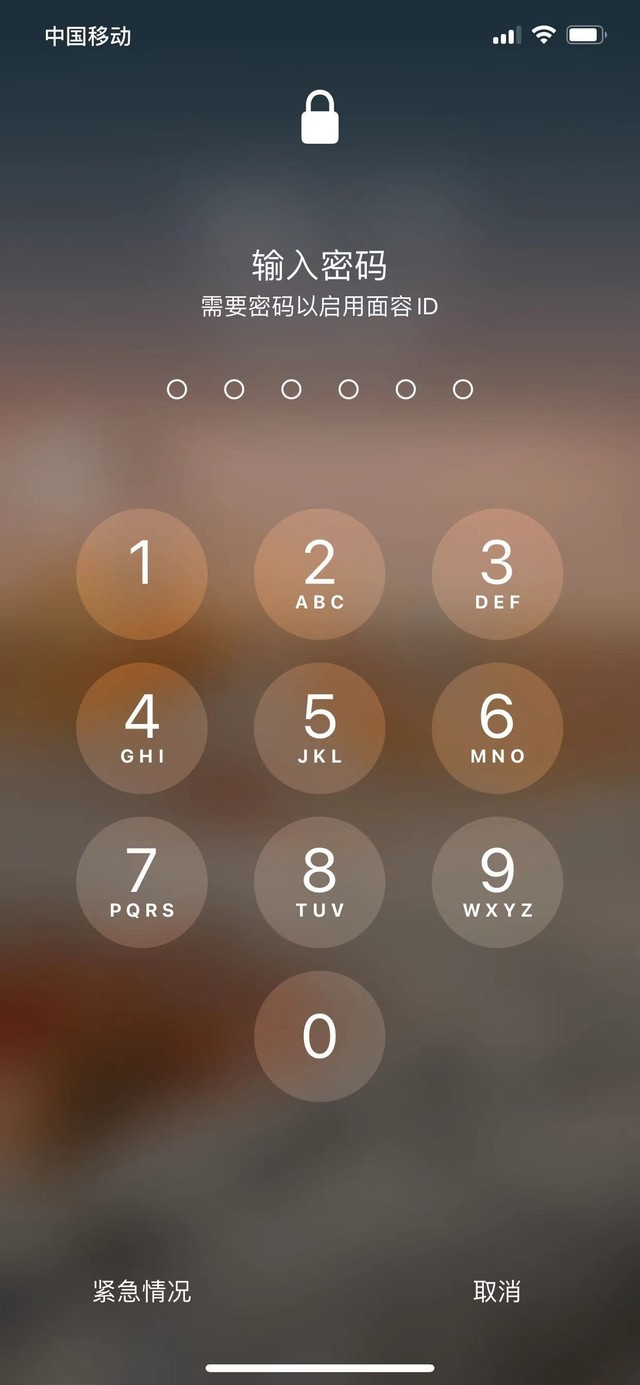 依安苹果13维修分享iPhone 13加强锁屏功能有什么用 