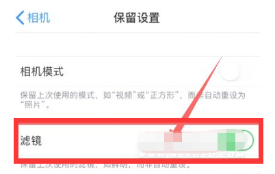 依安苹果13维修分享iPhone13拍照有绿点是怎么回事 