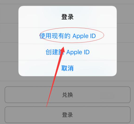 依安苹果手机维修分享两台iPhone设备可以同时登录一个Apple ID吗 