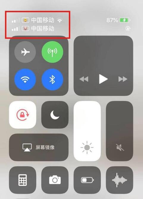依安苹果手机维修分享为 iPhone 12 双卡设置标签 